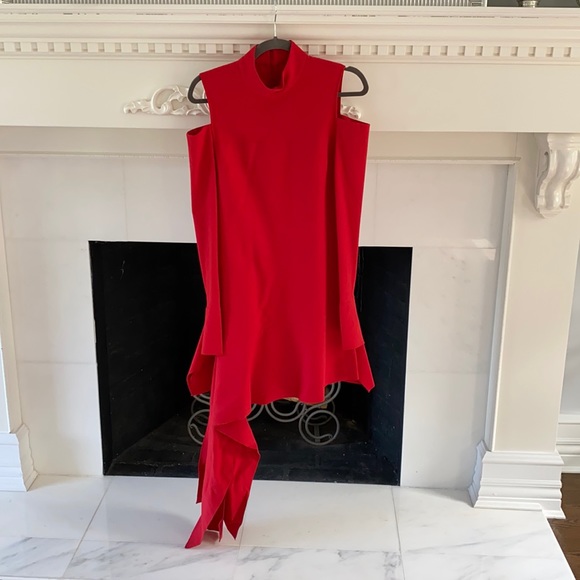 Alexis Dresses & Skirts - Alexis Asymmetrical Mini